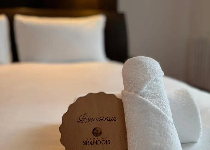 Domaine De Brandois Отель