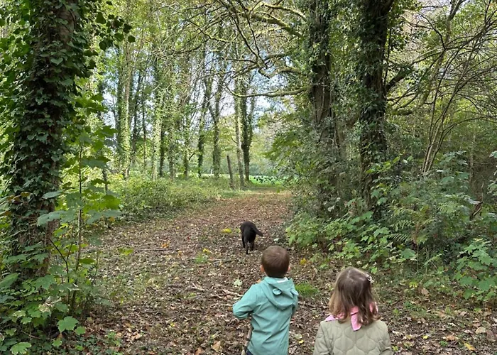 Domaine De Brandois Отель